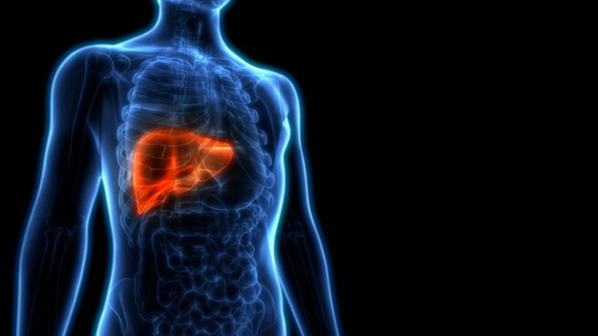 _109341199_gettyimages-1022363720