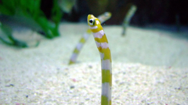 5eacb73c59bf5b3e301d4088