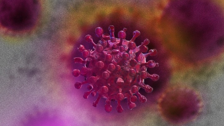 5eb97f36e9ff7158dd29ee88