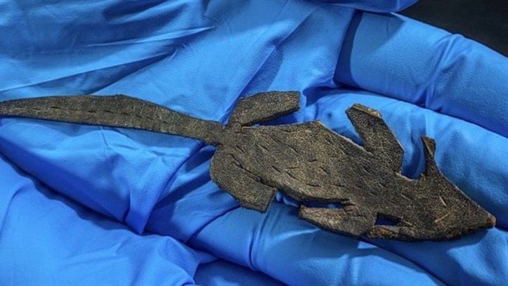 5ec0bd9be9ff714bcb4e4132