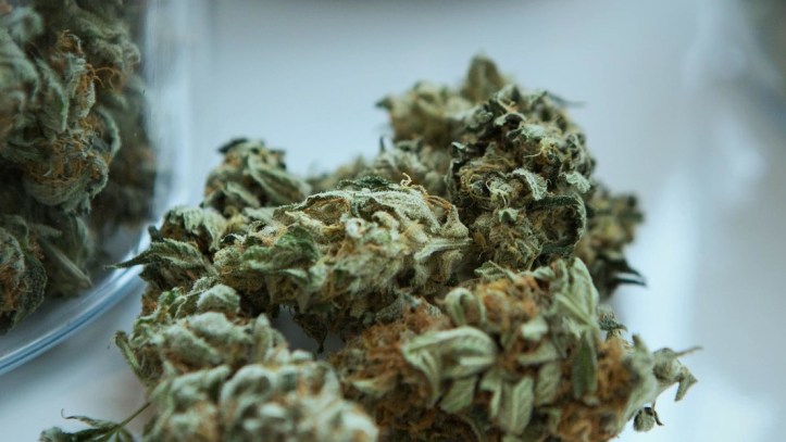 5ed16a5ee9ff71371977e748