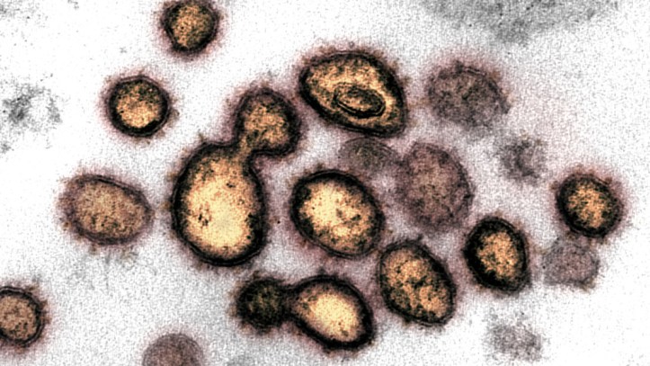 5eead525e9ff713fb032ad7f